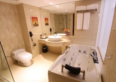 Hotel-bengal-blueberry Premium bathroom