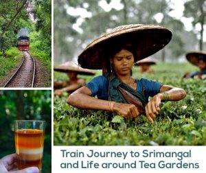 Train Journey to Srimangal and Life around Tea Gardens